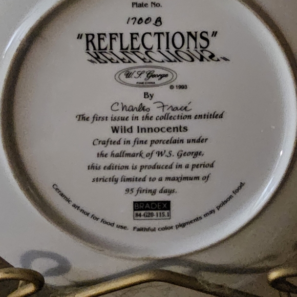 Reflection - Picture 2 of 2